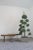 Set of Italian Benches in Fir, 1950s For Sale - Image 6 of 11