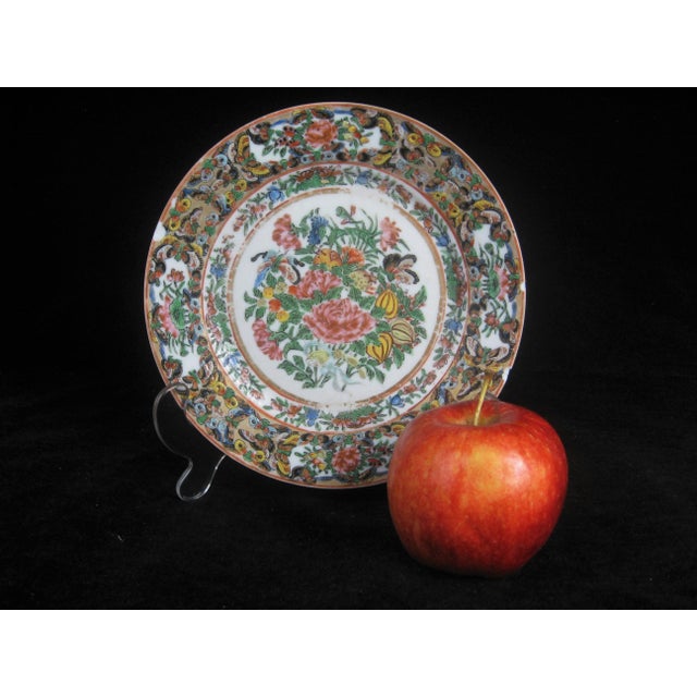 Chinese Chinese Famille Rose Butterfly Plate, 1870-80 For Sale - Image 3 of 12