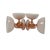 Mid-Century Modern 1960s Carlo Moretti Mid-Century Cased Blush Pink Champagne Coupes - Set of 4 For Sale - Image 3 of 8