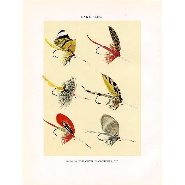 Original mid-century color lithograph print of Lake fishing flies. Based on the designs of the American sportsman Charles...