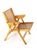 Model Rex Folding Chair by Niko Kralj for Stol Kamnik For Sale - Image 16 of 16
