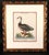 George Edwards Johann Seligmann Set of Six Engravings of Water Birds For Sale - Image 4 of 10