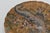 Japanese Late 19th Century Japanese Satsuma Dish From the Meiji Period For Sale - Image 3 of 9