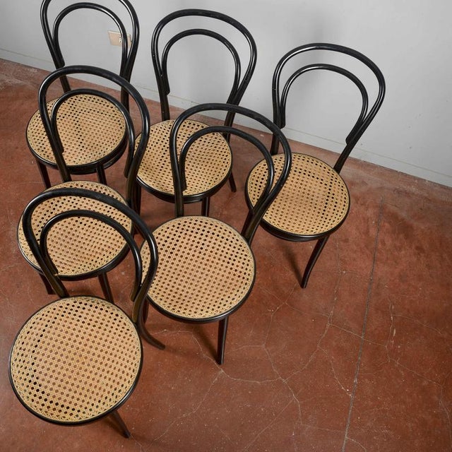 Chairs in the style of Thonet, Set of 6 For Sale - Image 6 of 9