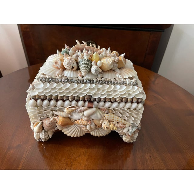1970s 1970s Elegant Coastal Sea Shell Jewelry Treasure Box For Sale - Image 5 of 5