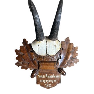 Early 1900s Chamois Trophy Black Forest Deer Rd168 For Sale