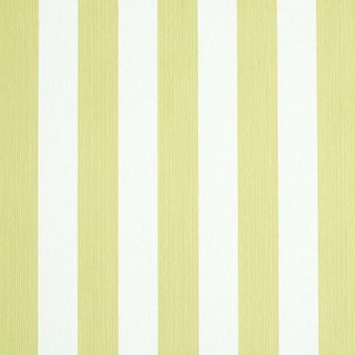 Schumacher Edwin Stripe Medium Wallpaper in Citron For Sale