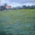 "Grazing Sheep on a Hillside" Contemporary Landscape Oil Painting For Sale - Image 13 of 13