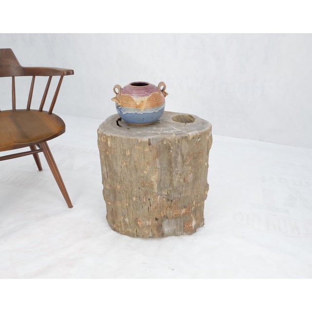 Beige Large Beige Petrified Wood Organic Stomp Shape Stand End Side Table Pedestal For Sale - Image 8 of 11