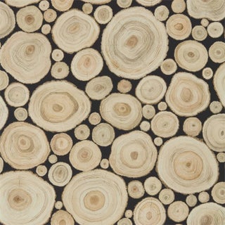 Sanderson Alnwick Logs Wallpaper in Lacquer Black - a Sample For Sale
