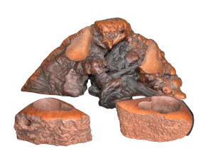 Hand Carved Burlwood Pipe Holders - Set of 3