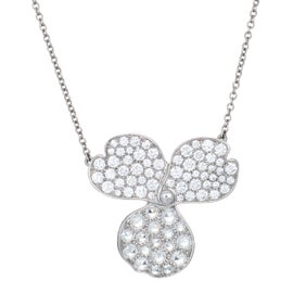 Example of Tiffany and Co. Necklaces
