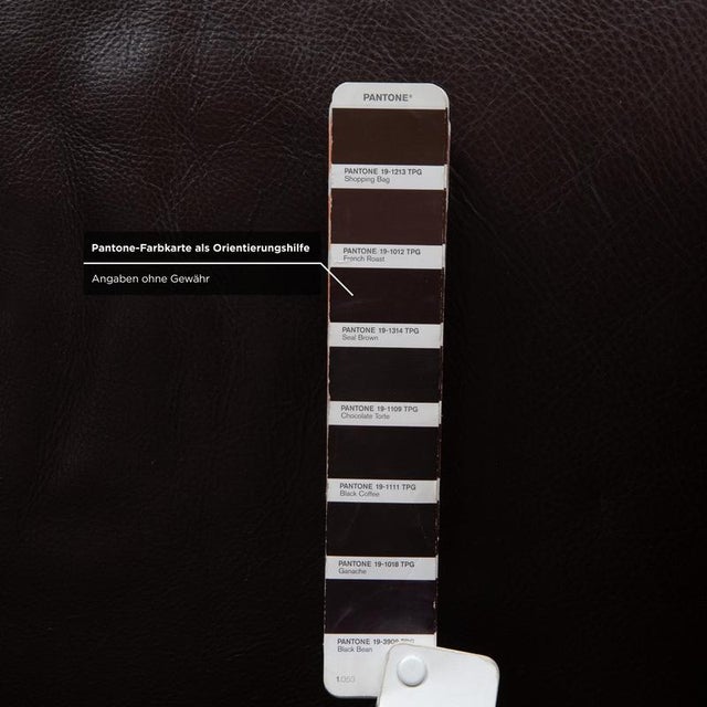 Model 6300 Armchairs in Brown Leather from Rolf Benz, Set of 2 For Sale - Image 10 of 16