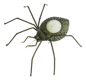 Mid-Century Modern Spider Wall Lamp in Metal, Italy, 1950s