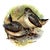 Vintage Theodore Haviland Porcelain Game Bird Plates by Edwin Megargee - Set of Six For Sale - Image 13 of 14