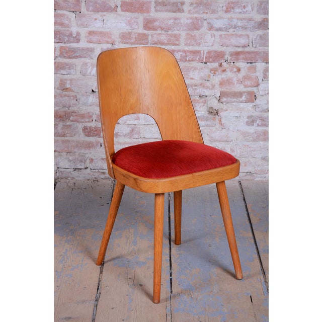 Mid-Century Beech Chairs by O. Haerdtl, Czech, 1950s, Set of 4 For Sale - Image 11 of 18