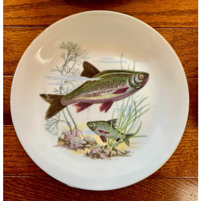 Vintage Set of 6 Trout Fish Design Appetizer Plates ~ Barvaria For Sale In Philadelphia - Image 6 of 11