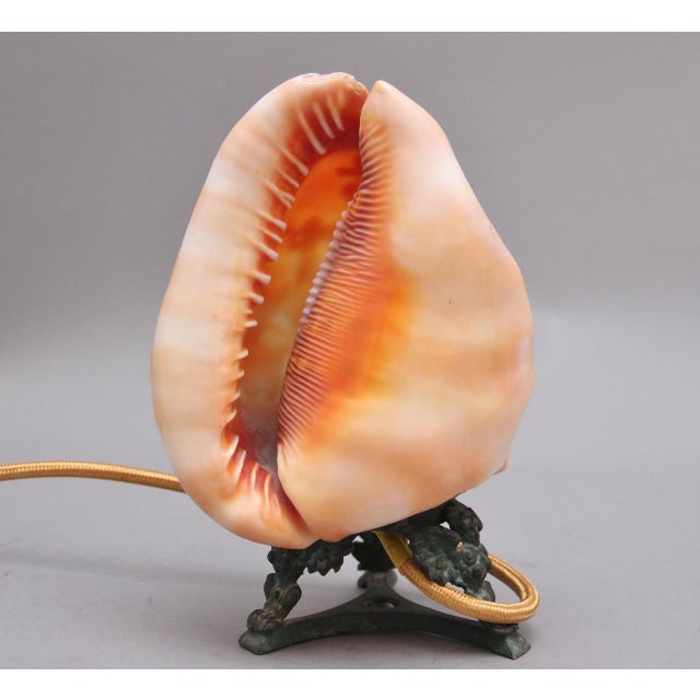 Late 19th Century Antique Carved Shell Cameo Lamp, 1880 For Sale - Image 5 of 10
