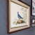 John James Audubon Framed Audubon Style Mid Century Bird Print of a Blue Crowned Pigeon For Sale - Image 4 of 10