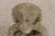 Vintage Weathered Concrete Garden Dog Statue For Sale - Image 11 of 15