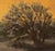 Contemporary Winter Twilight by Michael DeVore | Oil on board Landscape with a tree at sunset. For Sale - Image 3 of 3
