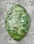 This refined vintage Italian turtle shell is a beautiful expression of mid-20th-century scagliola artistry, a traditional...