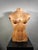 French Wooden Female Torso, 1950s For Sale - Image 3 of 14