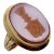 Victorian 14k Gold Banded Agate Intaglio Signet Ring with Shield Size 7.5 For Sale