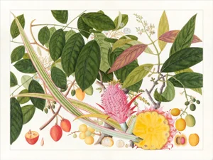 Golden Tropic Botanicals Plate #8, Giclée Print