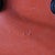 Metal Dining Chairs in Orange Fiberglass by Charles & Ray Eames for Herman Miller, USA, 1960s For Sale - Image 7 of 9