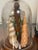1960s 1960s 3 Domed Sra Shell Assemblages Marine Soecimens For Sale - Image 5 of 7