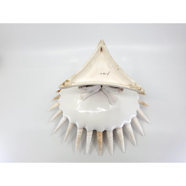 Bowl Seashells Shells For Sale - Image 9 of 14