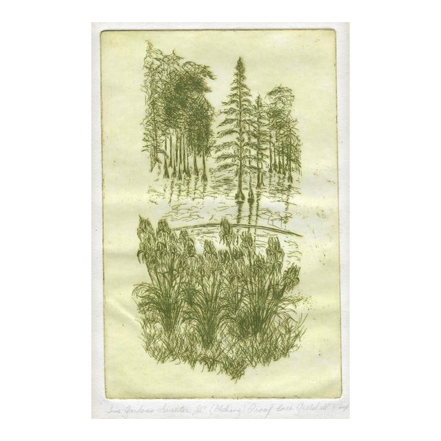 Iris Gardens Sumter South Carolina Etching For Sale