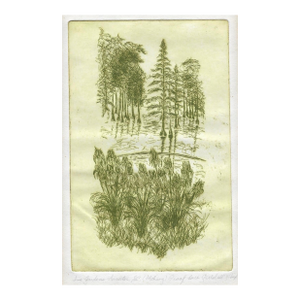 Iris Gardens Sumter South Carolina Etching