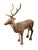 French folk art vintage concrete painted stag. 40”l x 16”w x 52”h 49-104