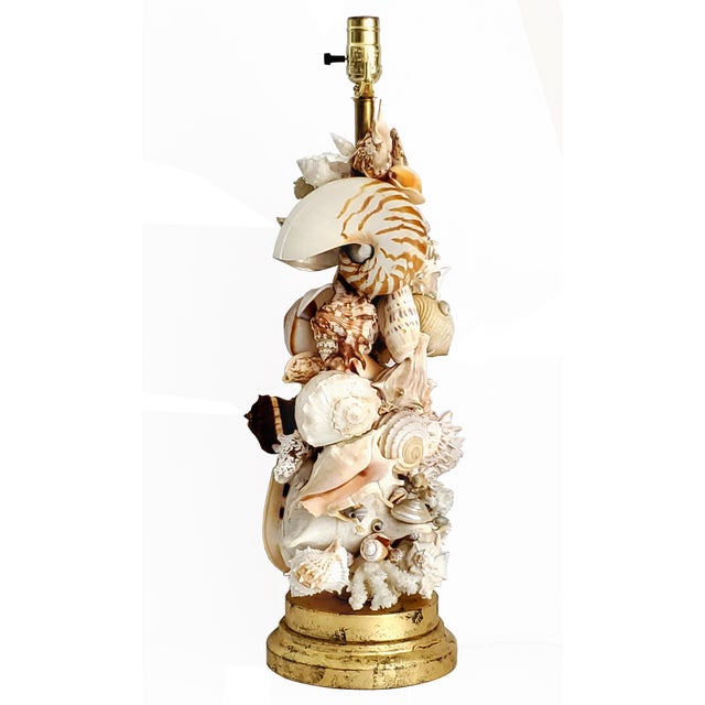 Mid 20th Century Lamp Shells Seashells For Sale - Image 5 of 14