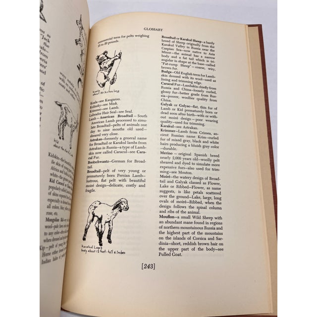 1951 the Mode in Furs Book For Sale - Image 18 of 18