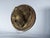 Antique 19thC Carved Architectural Lion Medallions, Gothic Plaques For Sale - Image 9 of 16