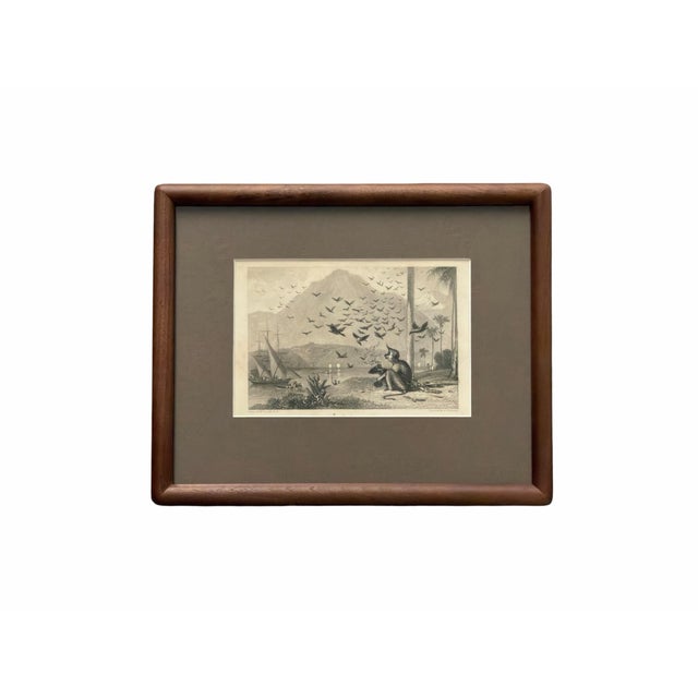 Olive 1836 Antique Monkey and Crows Engraving by William Daniell R.A. & Brandard, Framed For Sale - Image 8 of 8