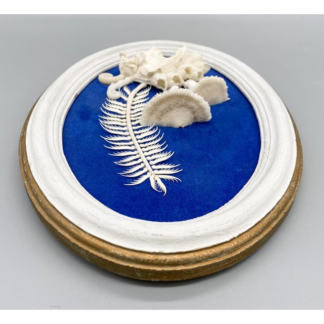 Vintage Framed Shell Art White Mushroom Motif With Blue Background Signed by Artist Chairish