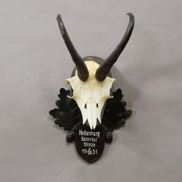 Rustic European Black Forest Chamois Trophy on Carved Wooden Plaque, Austria 1951 For Sale - Image 3 of 5