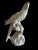 Measures This is a very unique and detailed Antique White Ceramic Handmade Parrot that was s acquired from a Palm Beach...