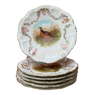 Antique German Bavarian Porcelain Game Bird 9” Plates - Set of 6 For Sale