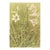 1945 Botanical Watercolor Lithograph- Lily For Sale