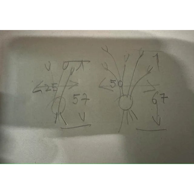 Vintage French Wall Lamps from Maison Arlus, 1950s, Set of 5 For Sale - Image 15 of 17