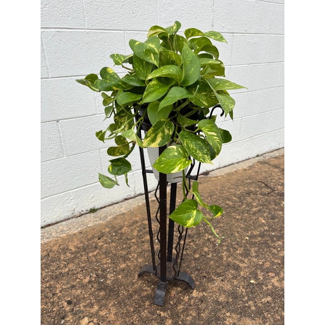 Late 20th Century French Black-Painted Metal Jardinière For Sale - Image 11 of 11