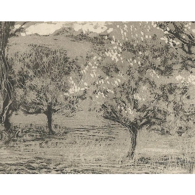 Raphaël Drouart, La Cave Aus Fées (The Fairies' Cave), 1920s, Etching For Sale - Image 4 of 10
