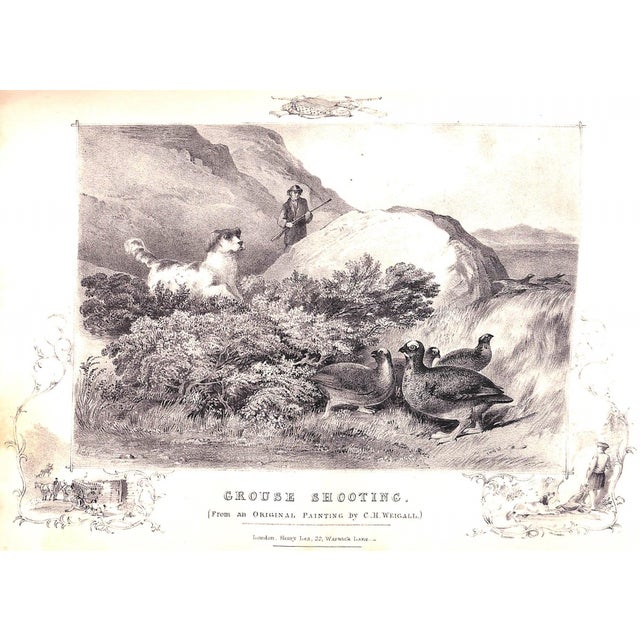 "The Book of Field Sports and Library of Veterinary Knowledge: Volumes I & Ii" 1870 Miles, Henry Downes [Edited By] For Sale - Image 17 of 18