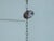 Mid-Century Modern Mid 20th Century Spanish Gilt Metal Crown Chandelier with Elongated Leaves, US Wired For Sale - Image 3 of 12