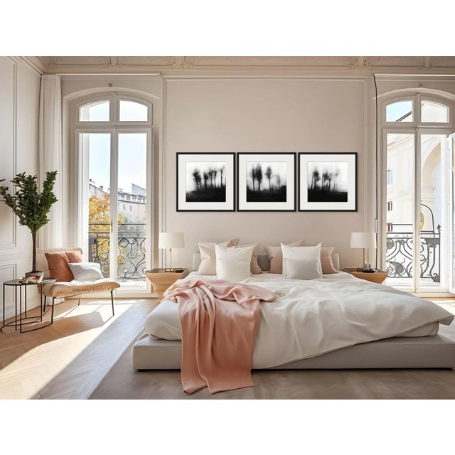 20" X 20" 'Blurred Landscape' #2 Black and White Photography For Sale - Image 6 of 7